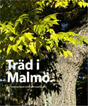Träd i Malmö